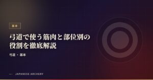 弓道で使う筋肉と部位別の役割を徹底解説